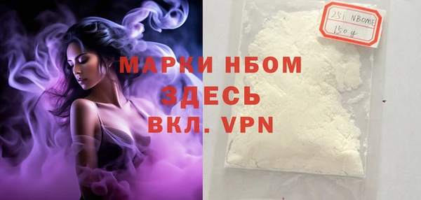 хмурый Богородицк