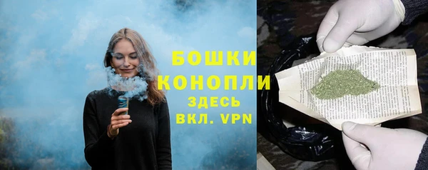 хмурый Богородицк