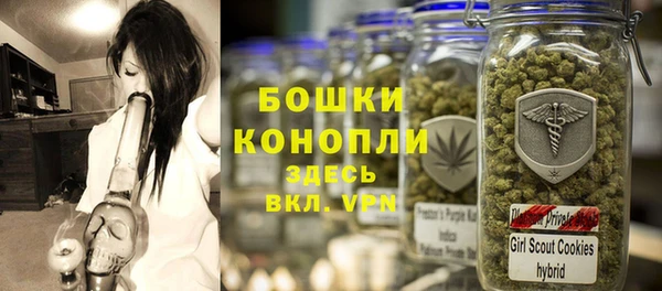 хмурый Богородицк